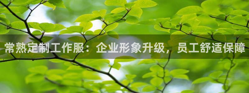龙8国际手机游戏官网